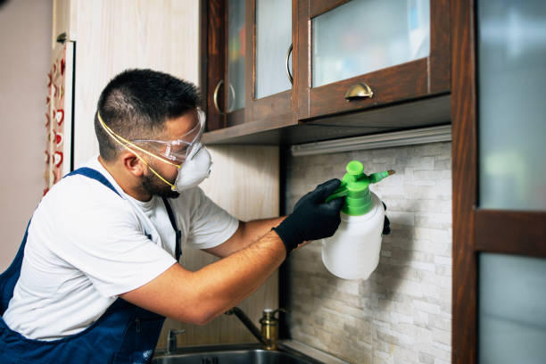 Best Insect Control  in Petersburg, IL