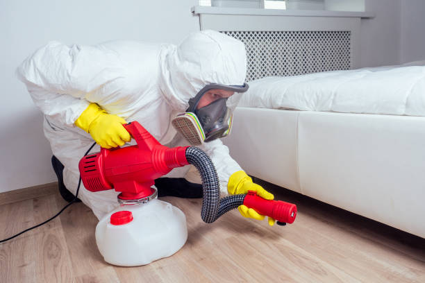 Best Residential Pest Control  in Petersburg, IL