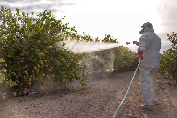Reliable Petersburg, IL Pest Control Solutions
